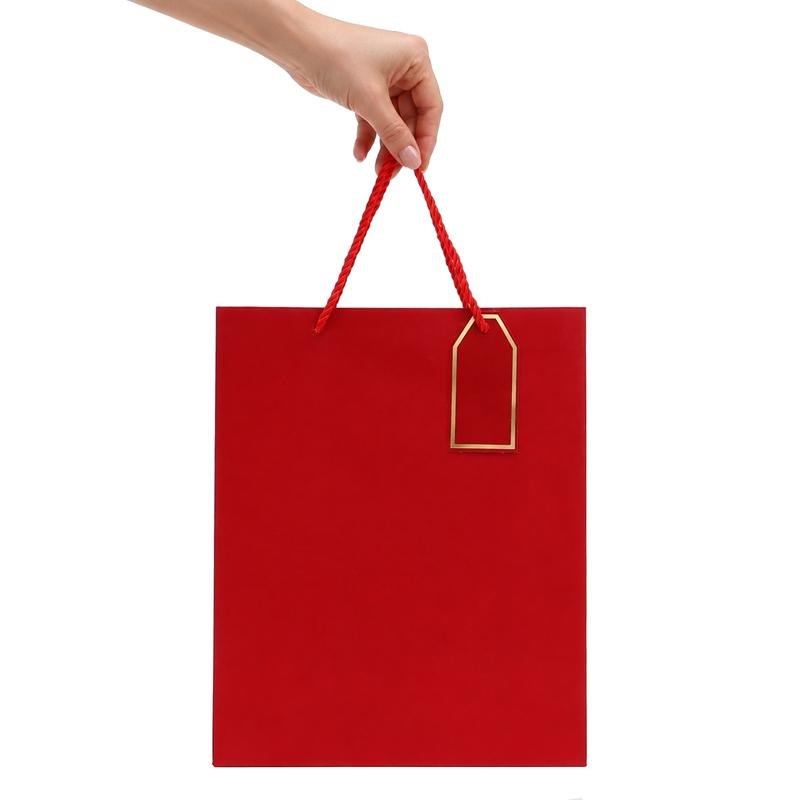 Gift Bag with Gift Tag, Medium 26 x 32cm (Assorted Colour) — photo 3 of 3