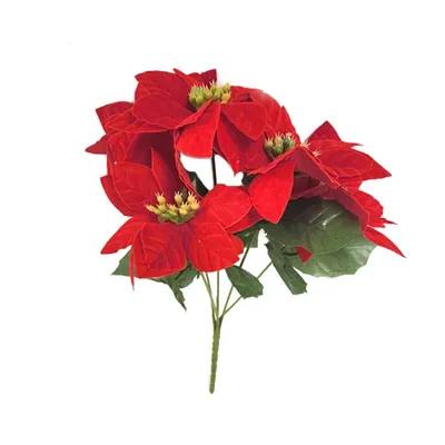 Poinsettia Pick 5-Head 26x33cm