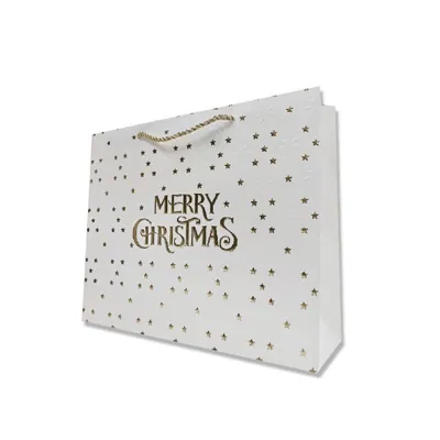 Christmas Gift Bag Gold Stars & Merry Christmas 23x18x10cm Horizontal