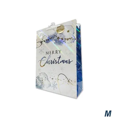 Christmas Gift Bag Laser Merry M 18x23x10cm